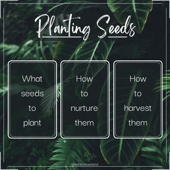 Planting Seeds Spread